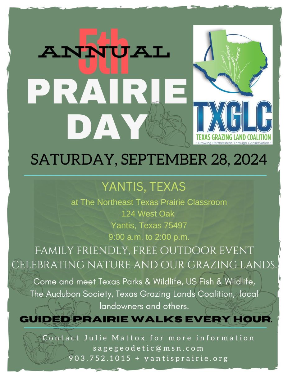 Prairie Day